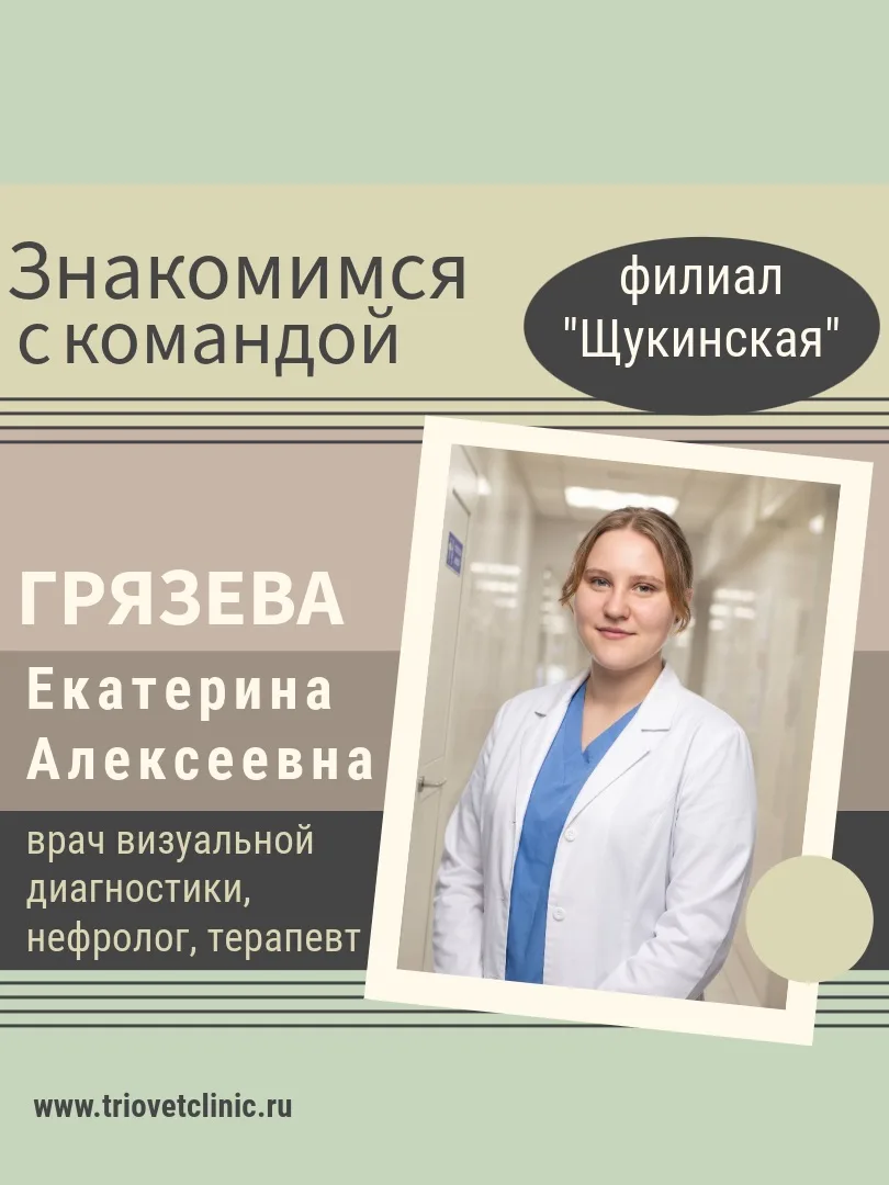 ГРЯЗЕВА ЕКАТЕРИНА АЛЕКСЕЕВНА - ветеринарный врач визуальной диагностики, нефролог, тера...