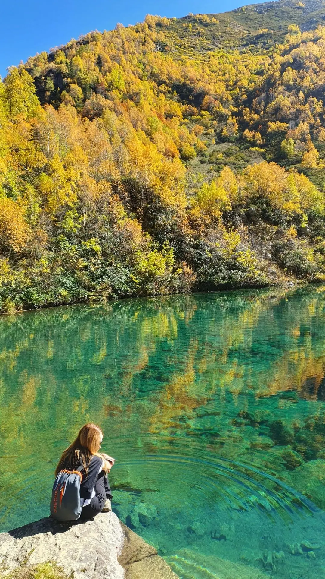 МЕЧТА ФОТОГРАФА 📸