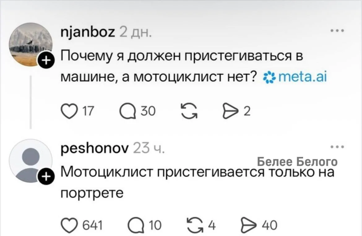 🐈‍⬛ Белее белого