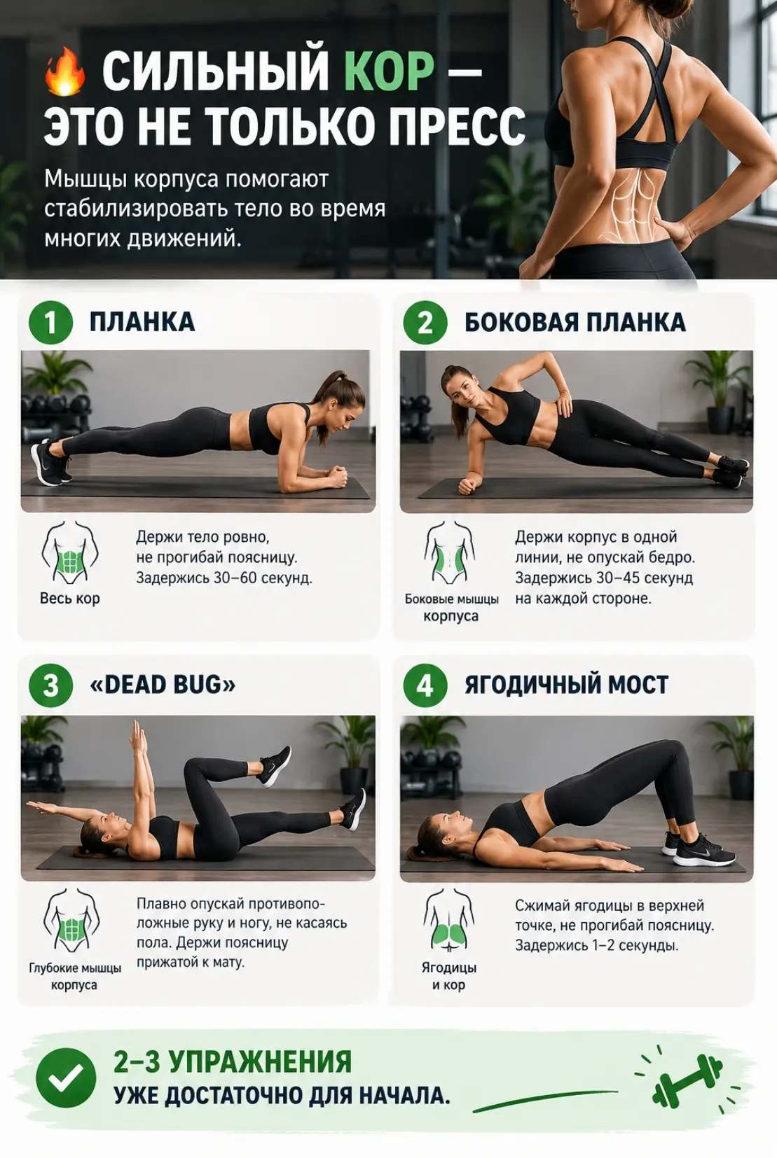 🔥 СИЛЬНЫЙ КОР — ЭТО НЕ ТОЛЬКО ПРЕСС.