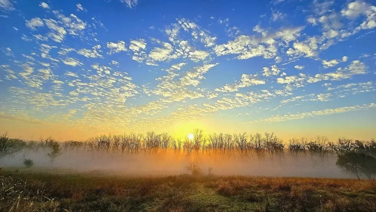 Спасибо, что делитесь своим творчеством ❤️