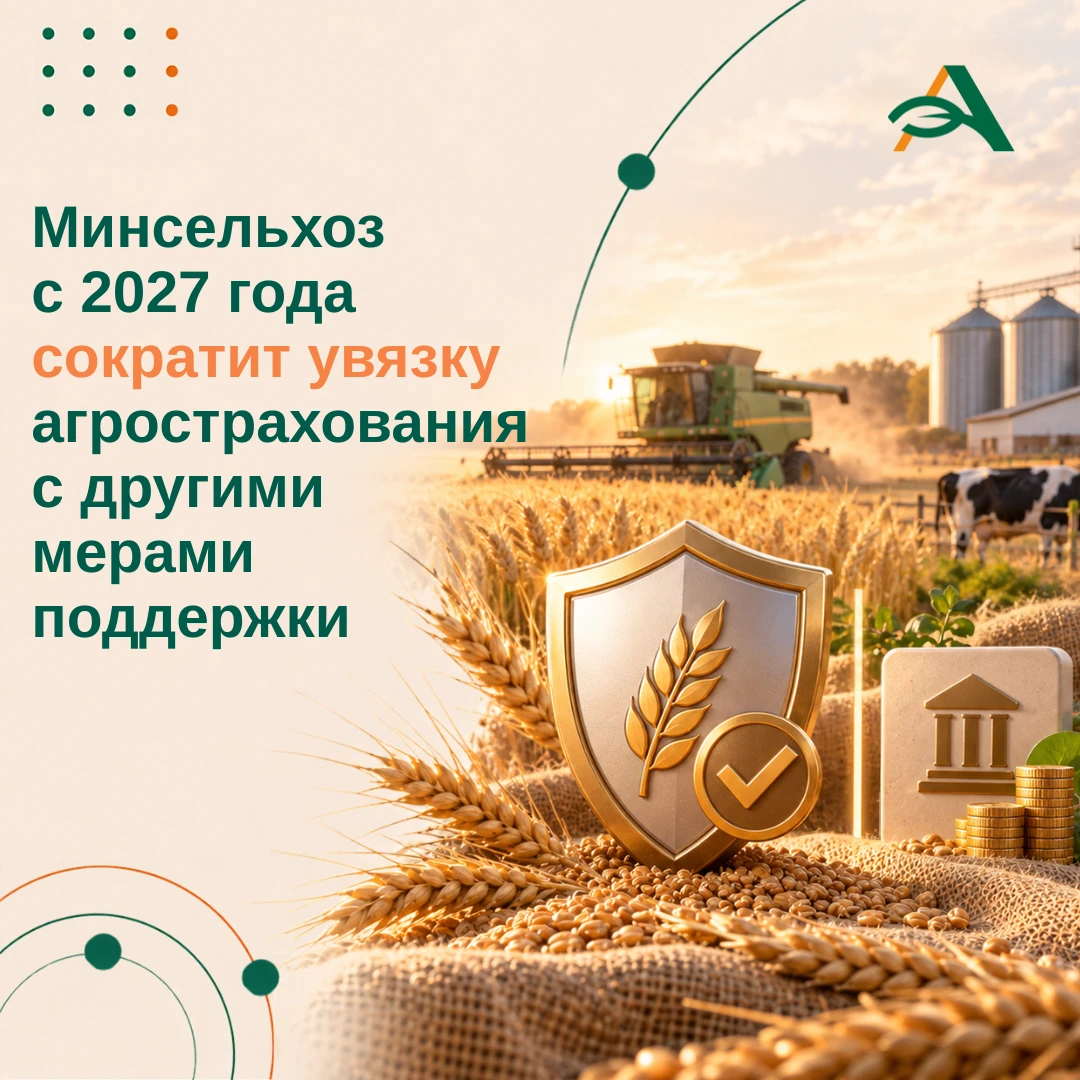 🟠 Минсельхоз с 2027 года намерен сократить увязку агрострахования с другими направлени...