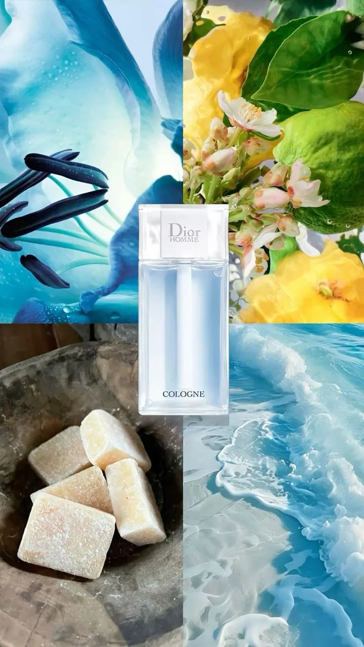 💦Dior Homme Cologne — это мужской одеколон (Eau de Cologne) от Christian Dior, созданн...