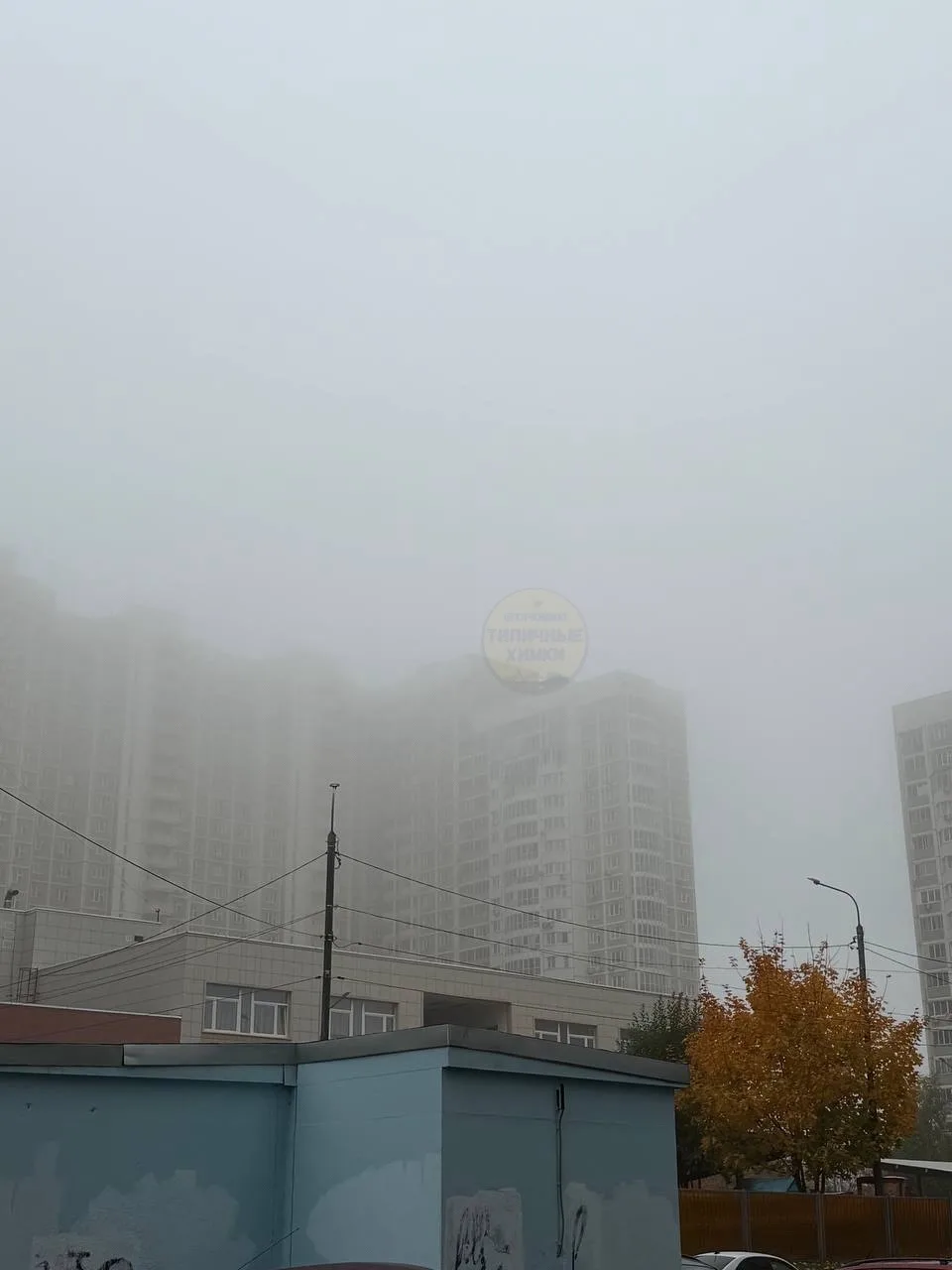 Химки накрыло туманом 😶‍🌫️