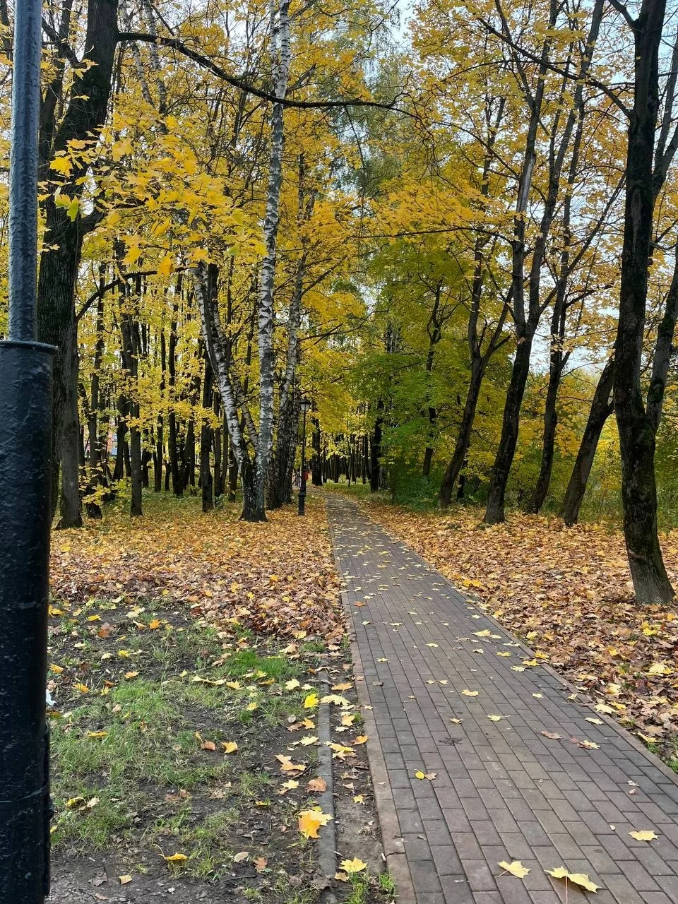 😍 Тропинка к Ивановским прудам этой золотой осенью