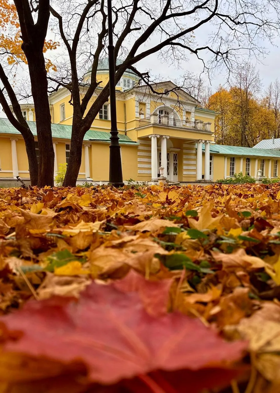 Усадьба Строгановых «Братцево»