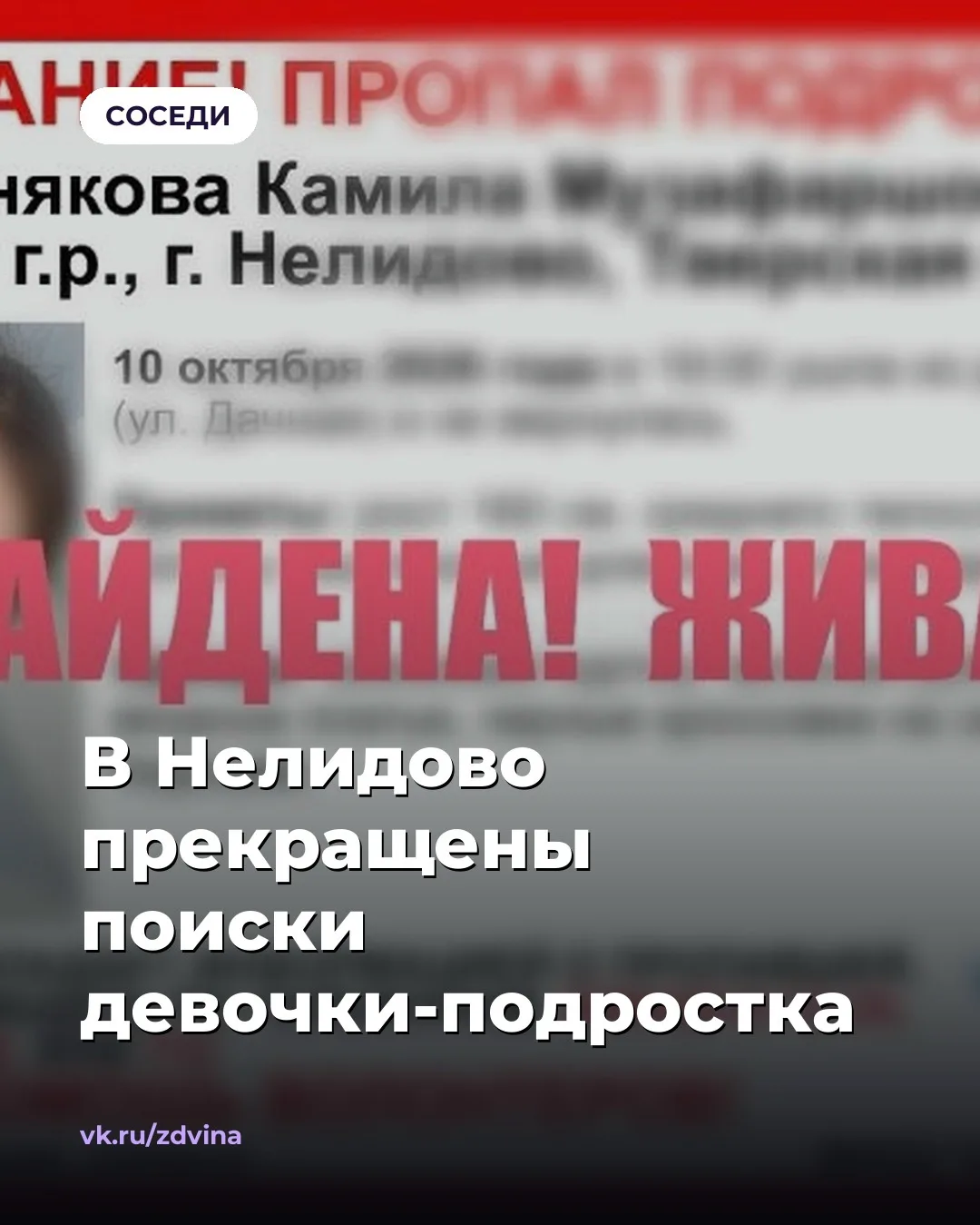 ВПСО «Сова» сообщило о прекращении поисков пропавшей 10 октября в городе Нелидово девоч...