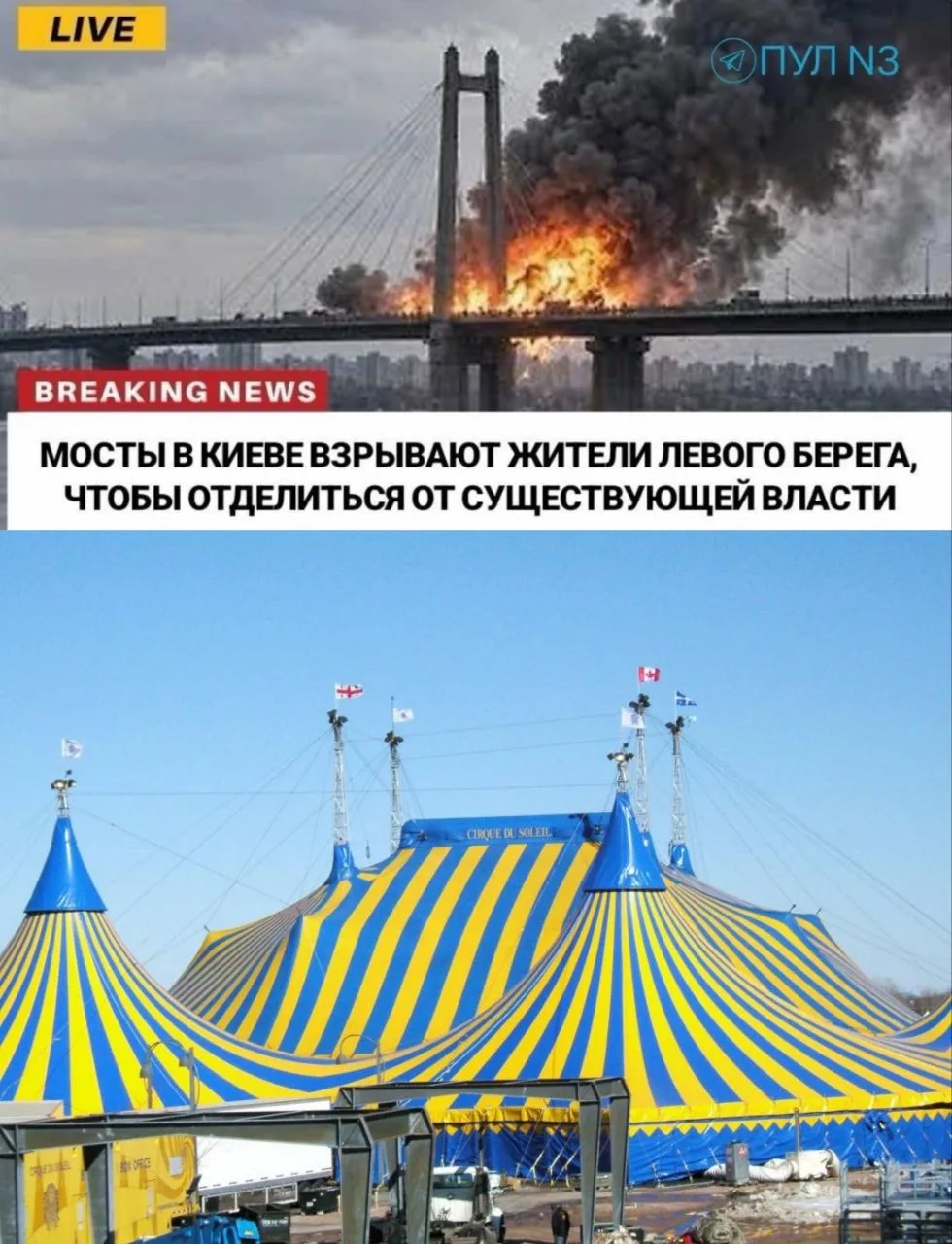 Підозра що вони зрадники😄