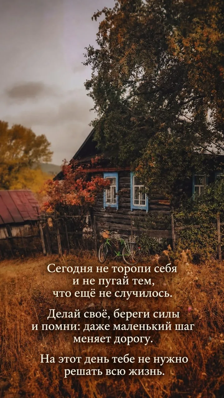 Доброго осеннего утра 🍁