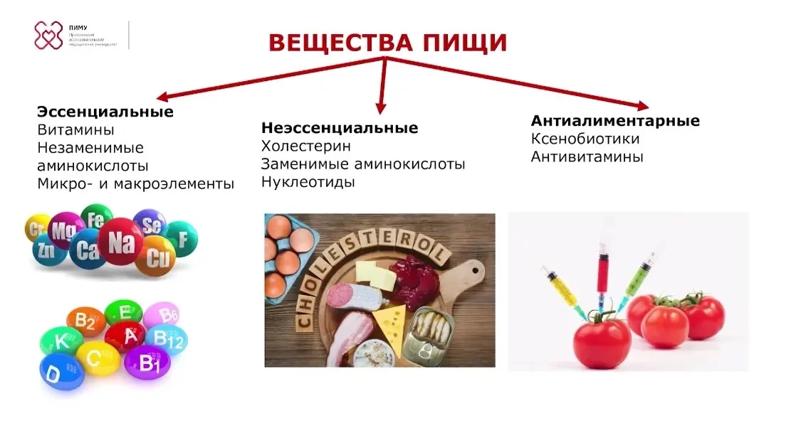 🍽️ Как питаться правильно и без лишних ограничений – что действительно работает?