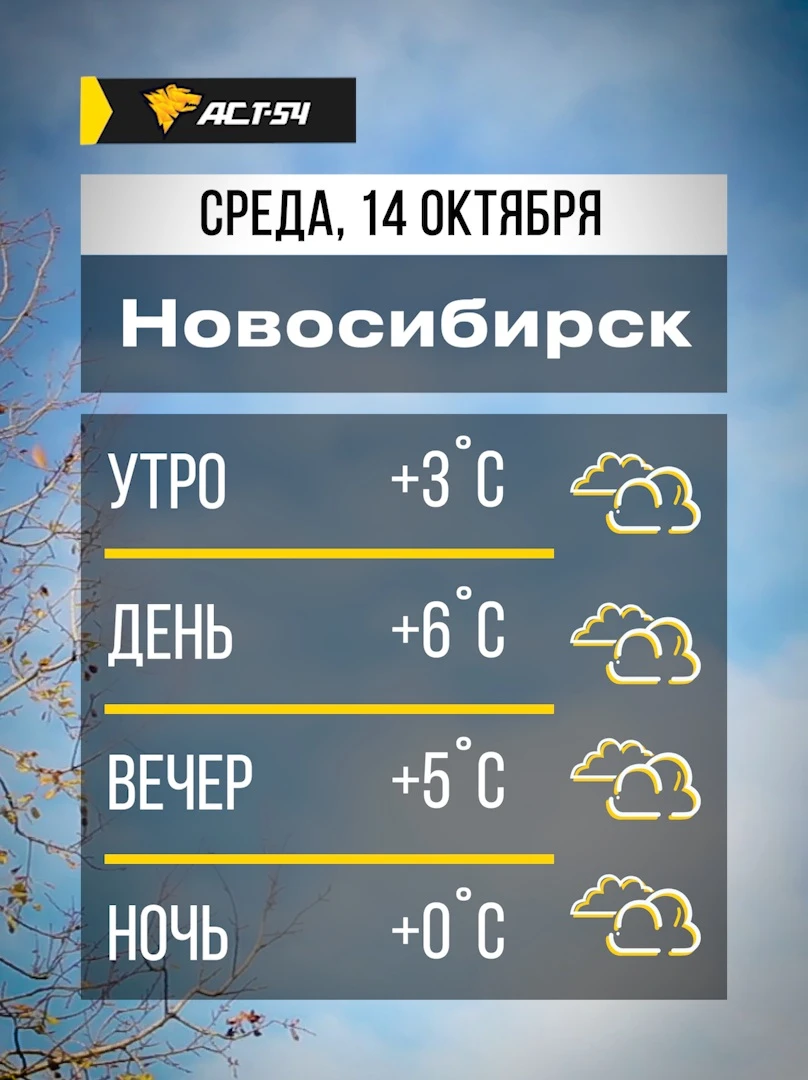 ⛅️ Новосибирск, доброе утро! Осадки сегодня не ожидаются, будет пасмурная погода.