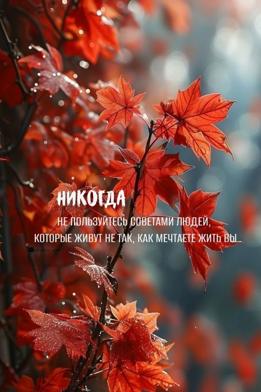 #МысльДня