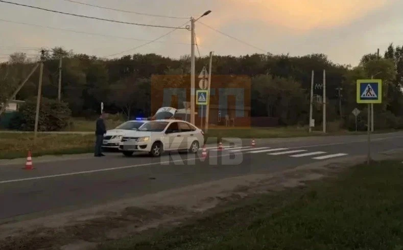 → 🚧В Кочубеевском водитель сбил 10-летнюю девочку на переходе.