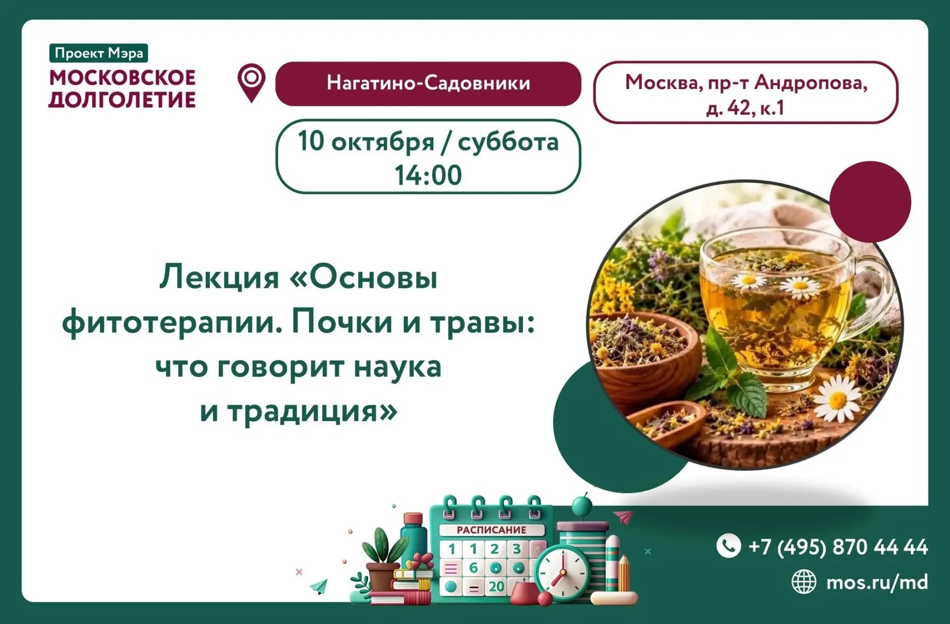 🌿 Основы фитотерапии - почки и травы: что говорит наука и традиция