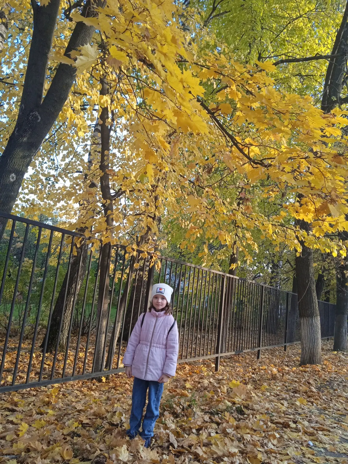 С добрым осенним утром!🍁🍂 Пусть будет теплой погода, а в сердце вливается счастье. Чт...