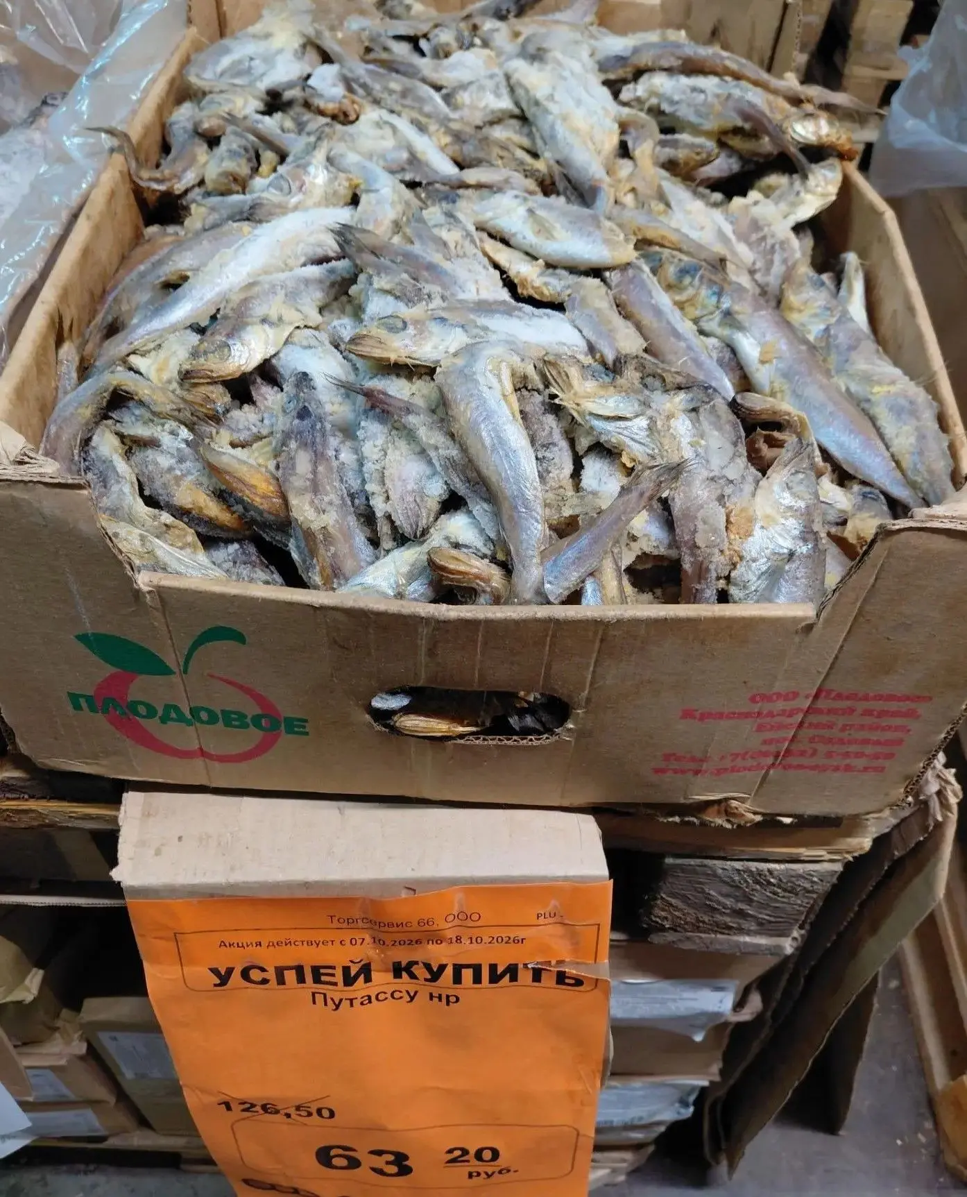 ❗️❗️❗️АКЦИЯ❗️❗️❗️