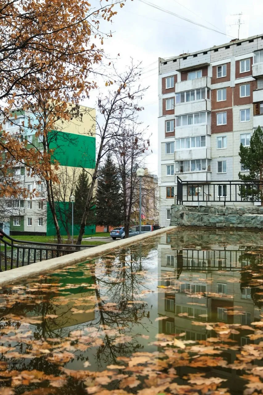Осень, осень. Лес остыл и листья сбросил😍️️️️️️