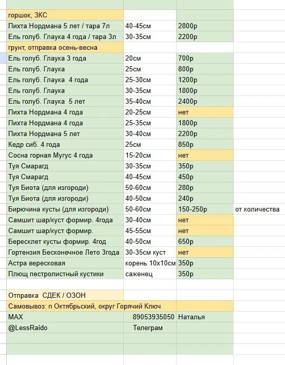 🩸Обновление прайса