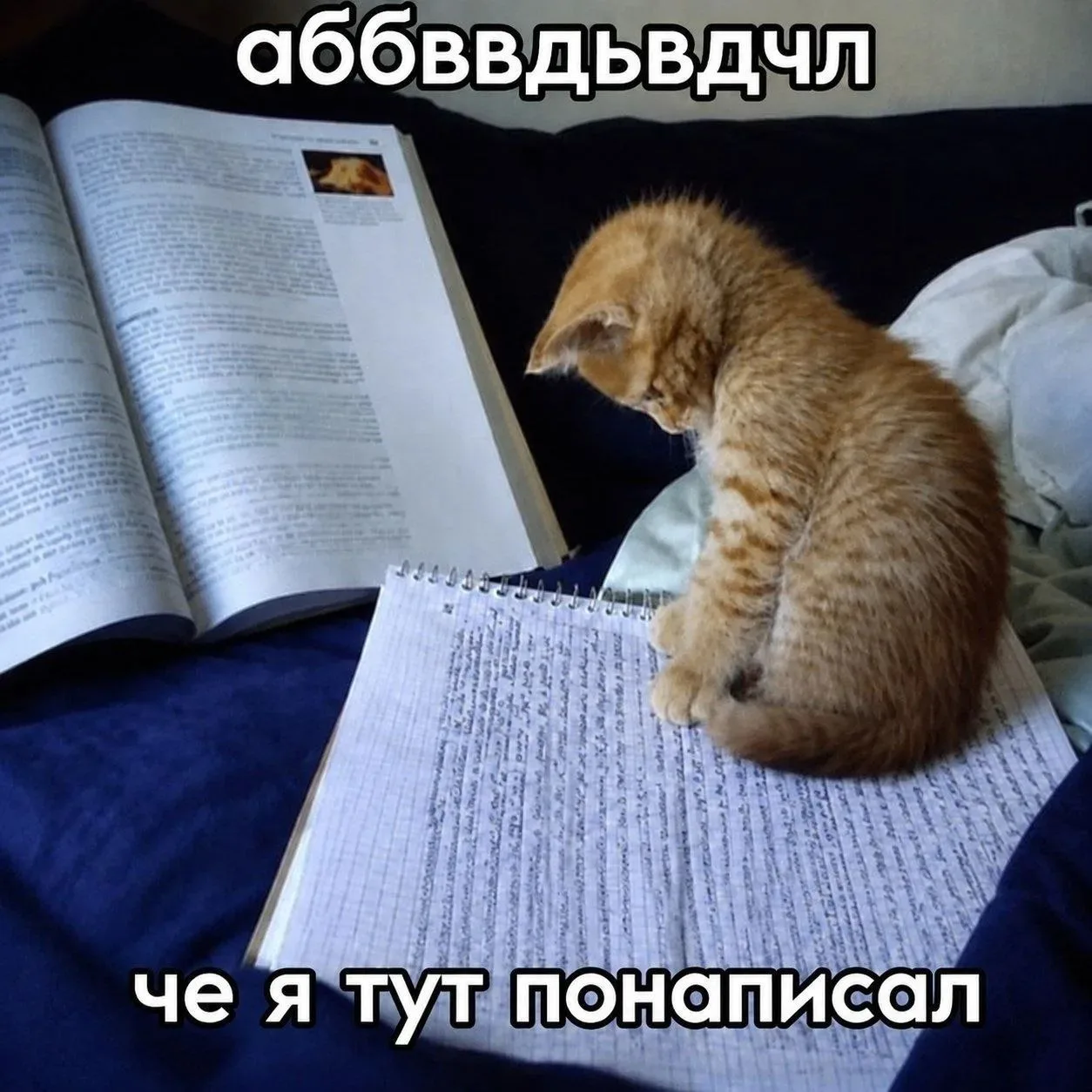 Доброе утро! 🥰