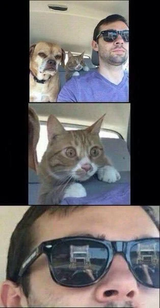 Фото