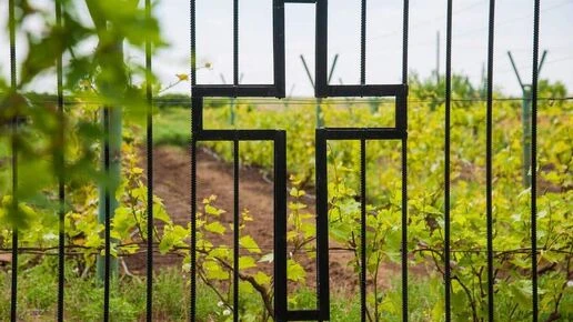 Под Волгоградом найдено захоронение казака с загадочной плитой