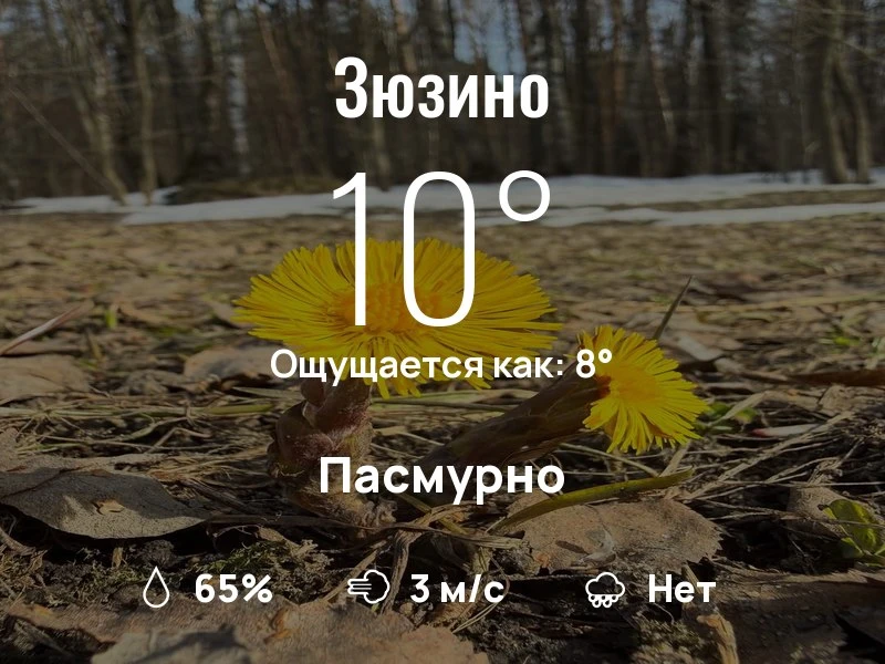 Что с погодой в Зюзино?