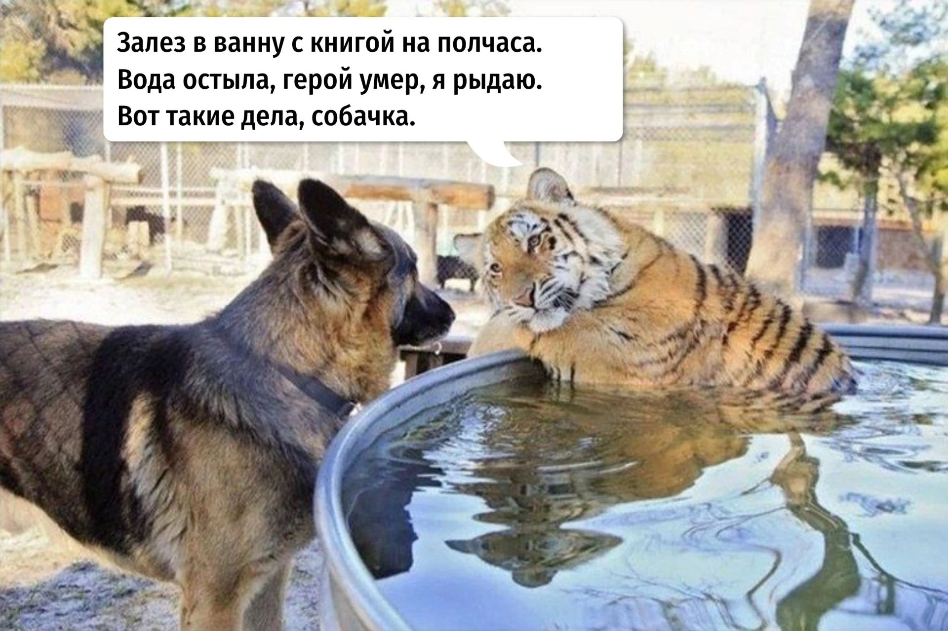 🤫Вот такие дела — читаем!