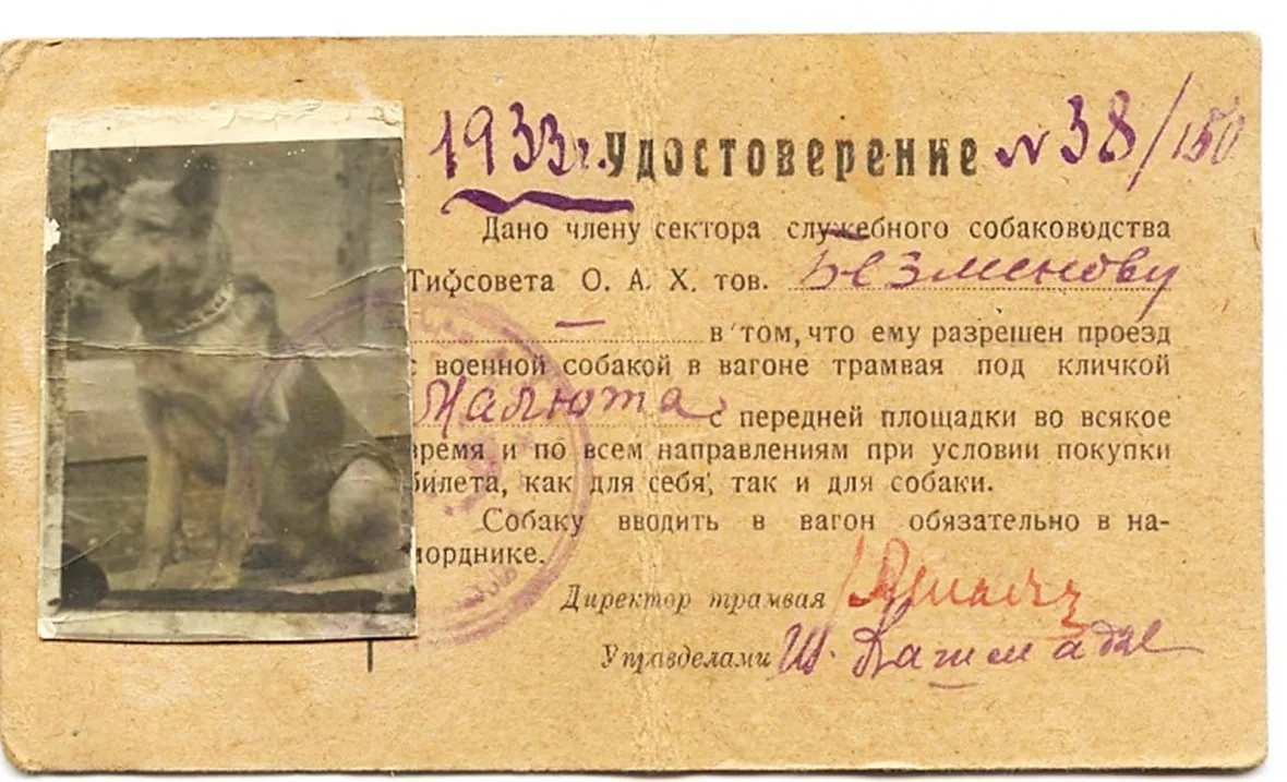 🦮 Удостоверение служебной военной собаки, 1933 год