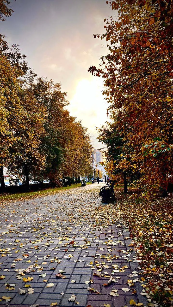📸 Красивый Воронеж от читателя