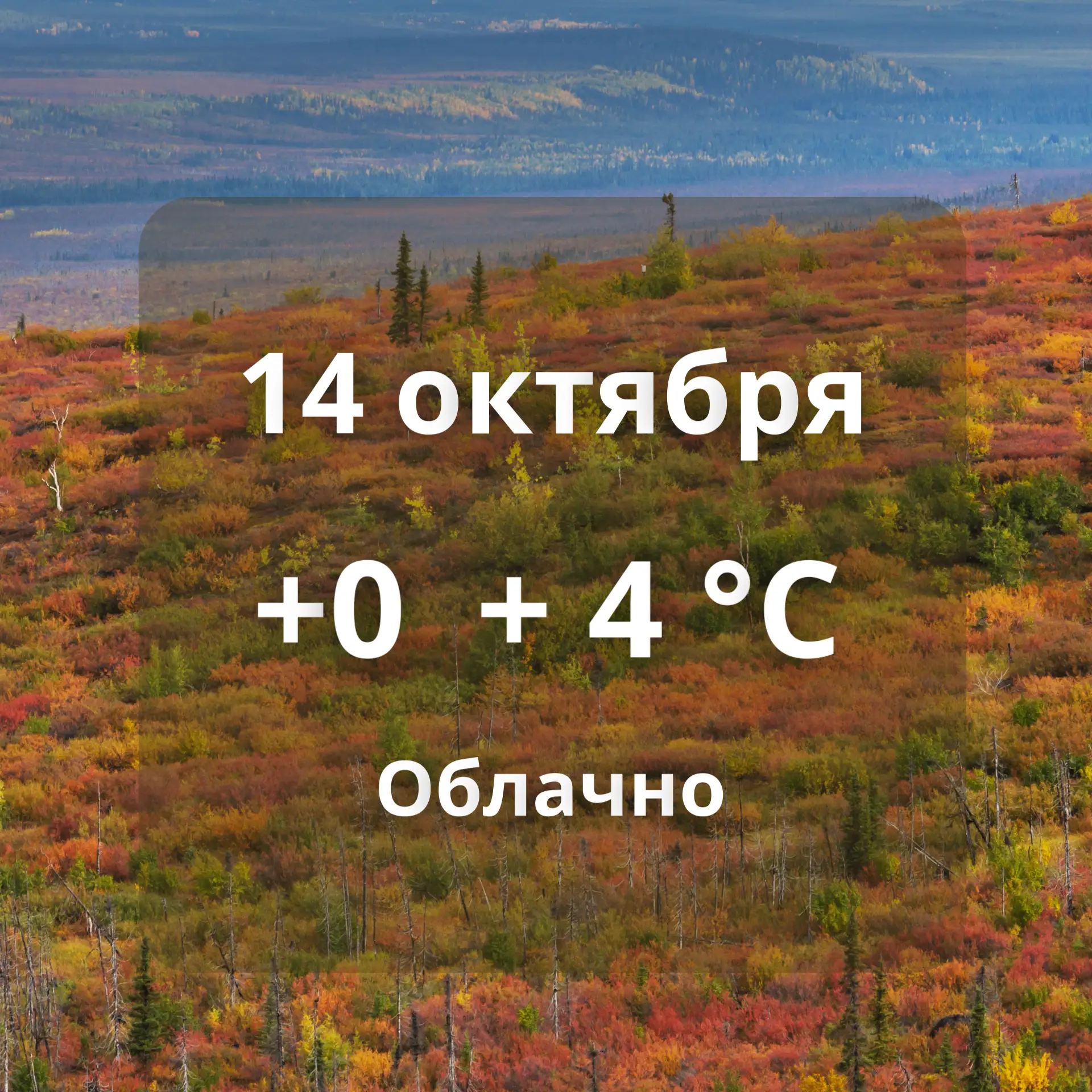 🍁Погода в Аксарке на сегодня