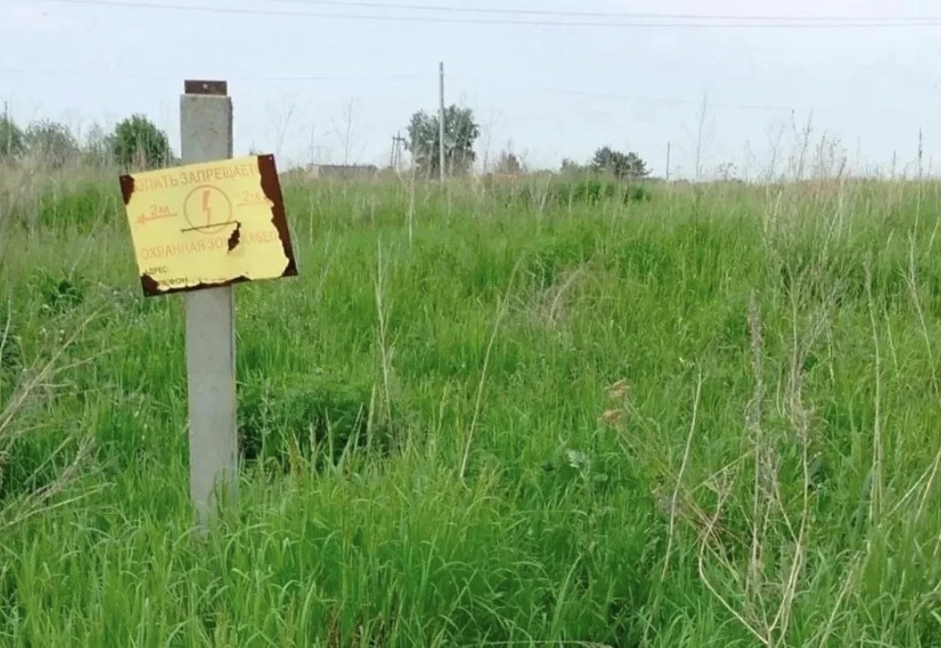 🏠Многодетной семье из Ачинска дали участок, где нельзя строить