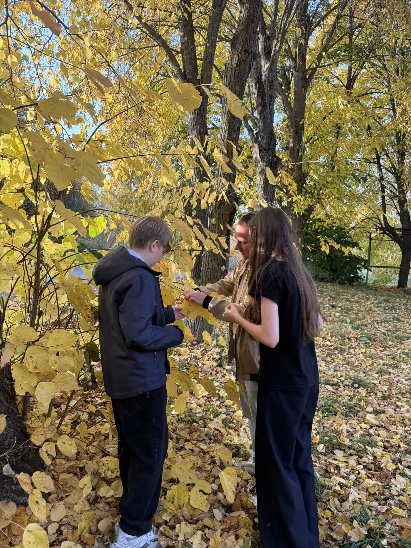 🍂 «Юный эколог»: наблюдаем осень вживую! 🍂