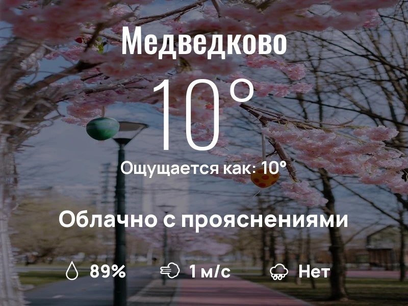 Что с погодой в Медведково?