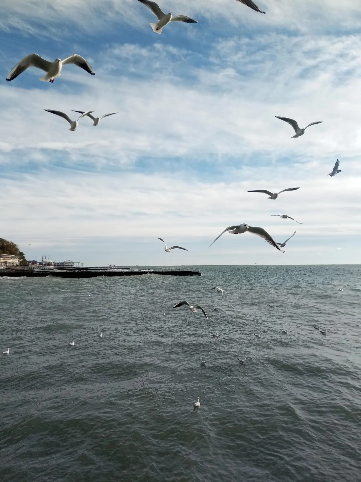 🌊 Октябрь, а в Сочи море всё ещё +22°C