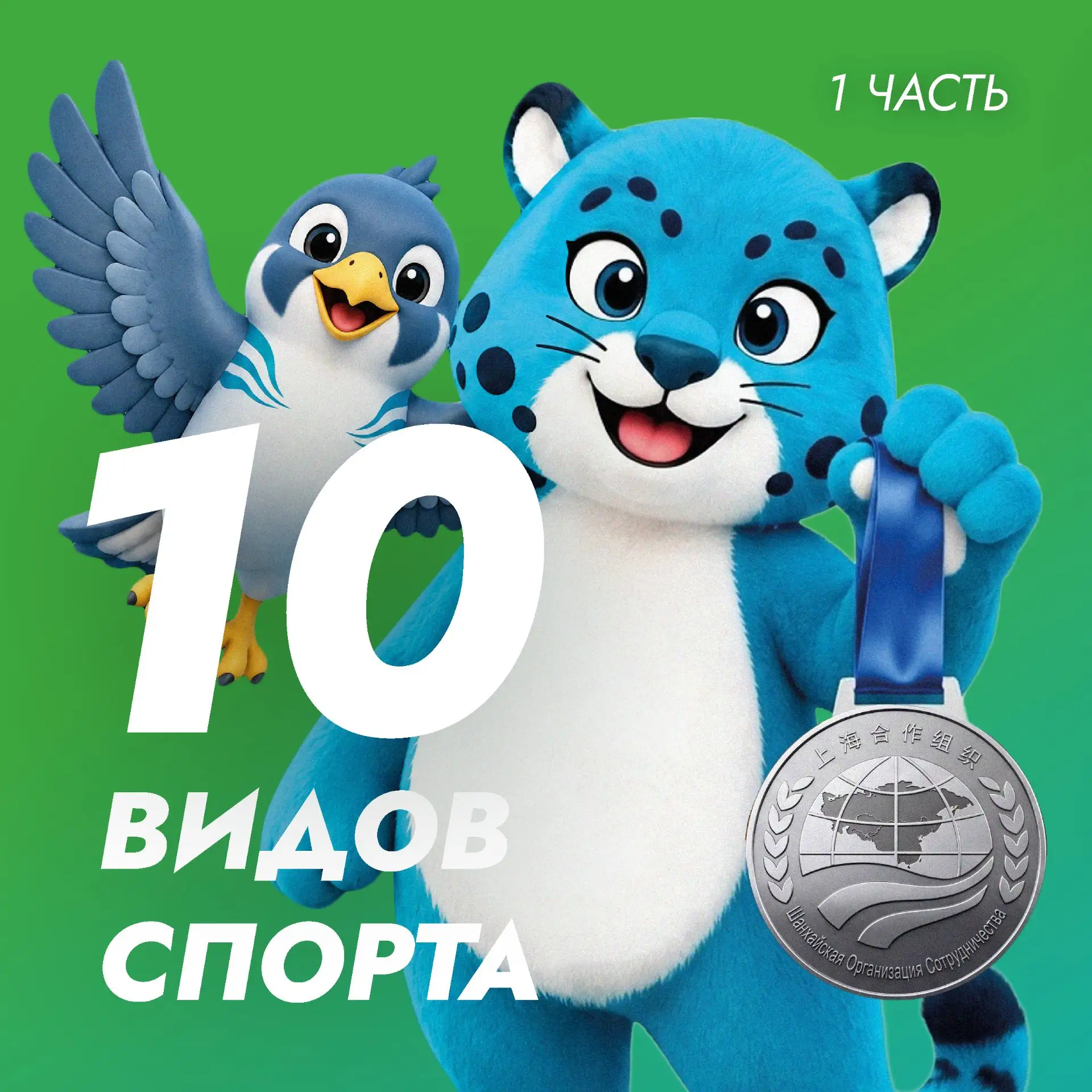 🏆 ОТКРЫТЫЙ КУБОК ШОС: ГРАЦИЯ И ТОЧНОСТЬ