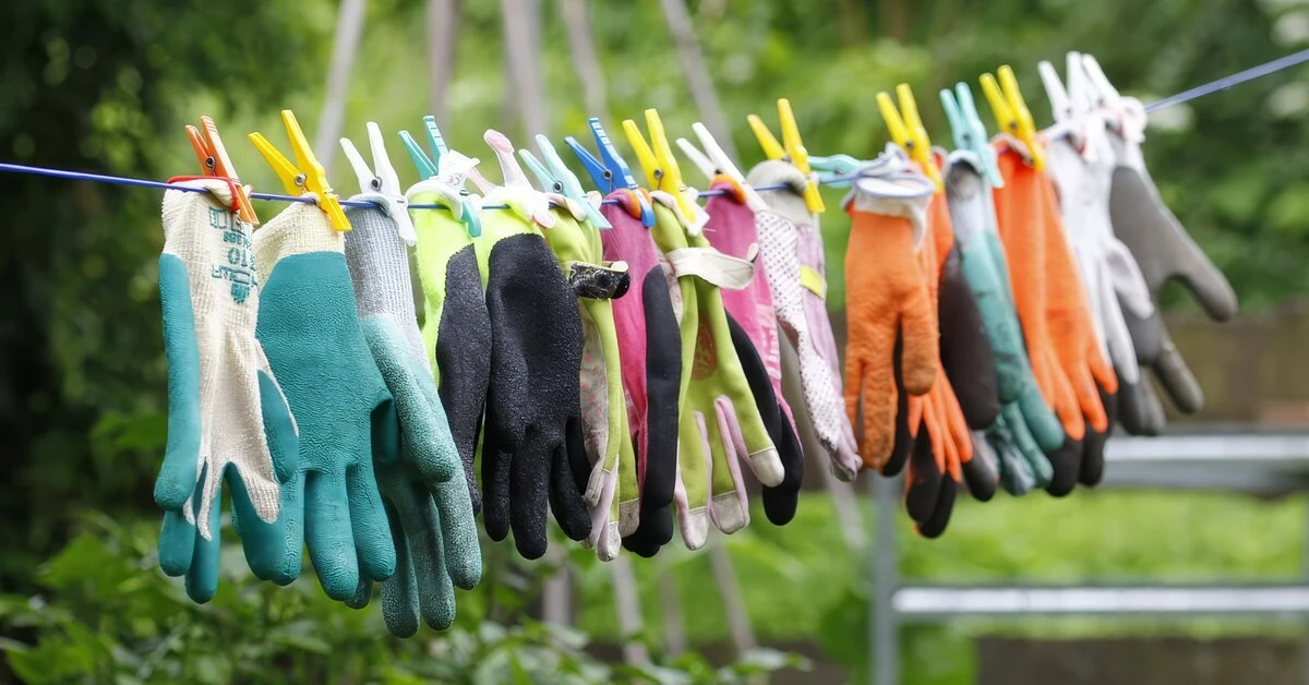 Осенняя ревизия перчаток. Левая резиновая — как новая. Правая — дырявая на большом паль...