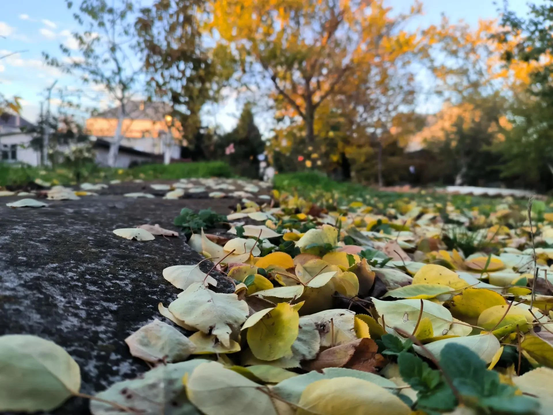 🌤 Тёплые выходные ждут жителей Ставрополья
