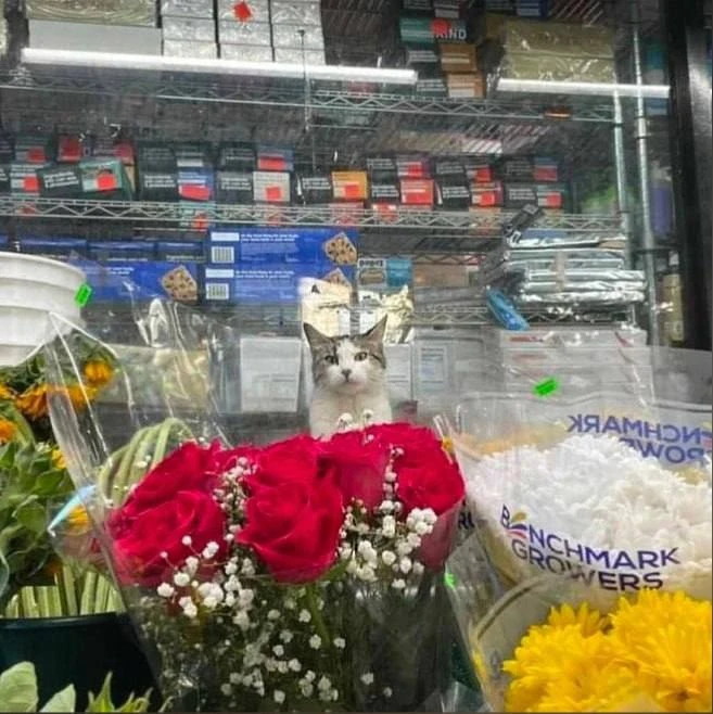 Сейчас этот парень на испытательном сроке. Надеюсь, у него всё получится, и он станет н...