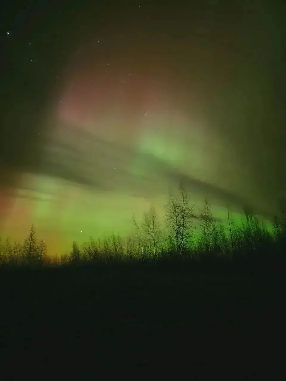 Прекрасное с Ямала ❤️