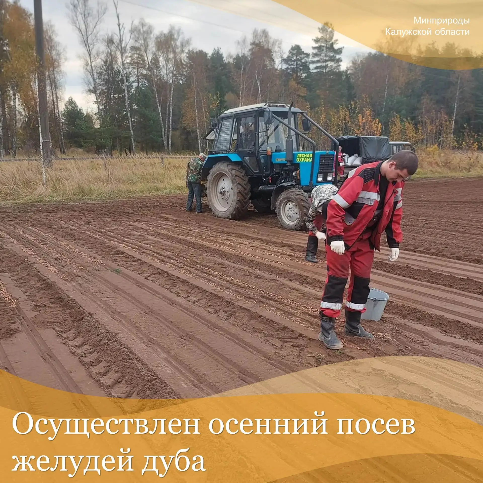 12 октября работниками СГАУ КО «Лесопожарная служба КО» в питомнике в п. Муратовка г. К...
