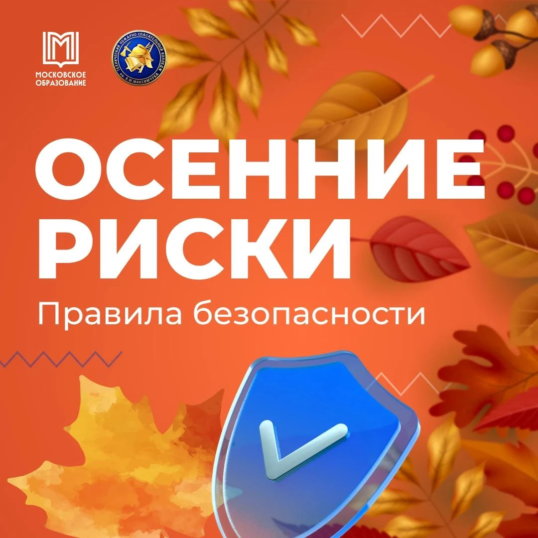 С приходом осени меняются не только краски за окном 🍂
