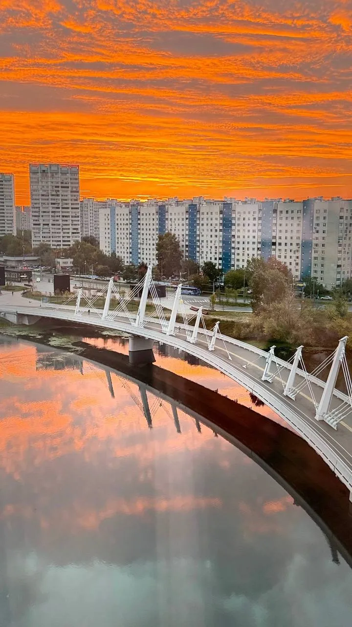 Чудесный мост на рассвете 🌅