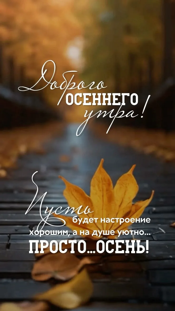 Доброе утро! 🍁🍂☕️
