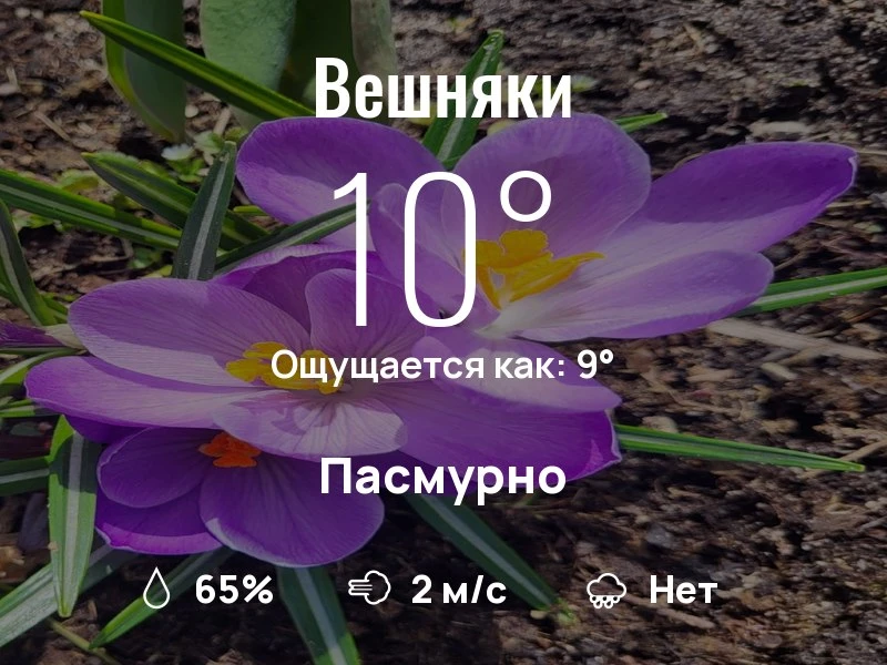 Что с погодой в Вешняках?