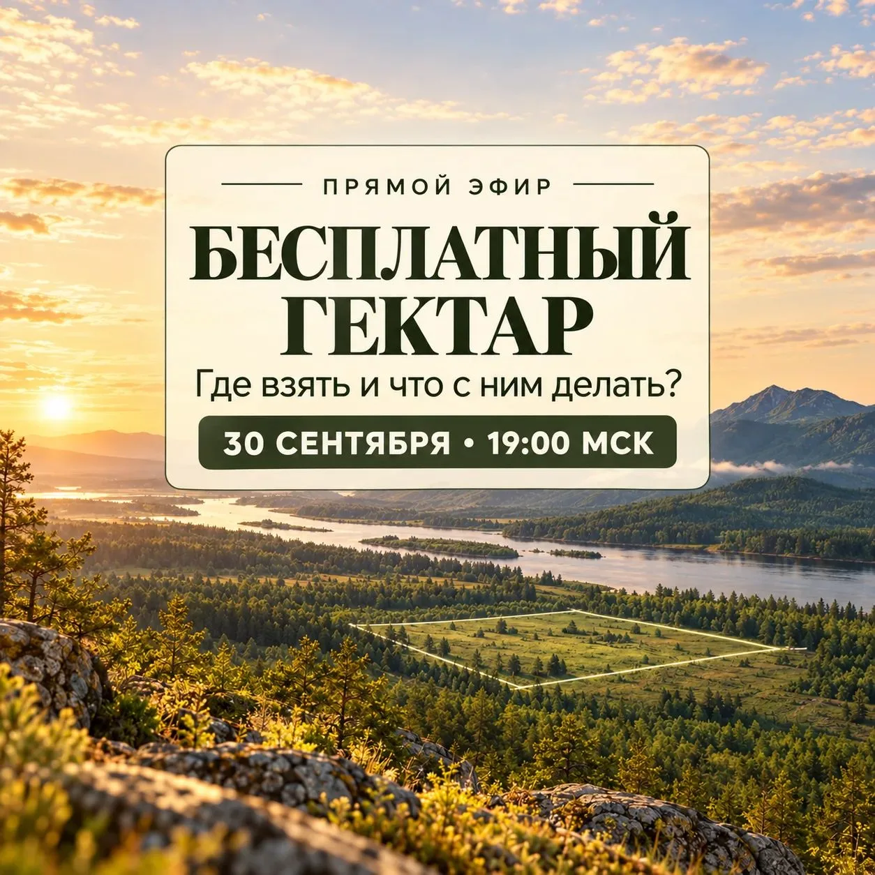 Бесплатный гектар: где его взять и что с ним делать?
