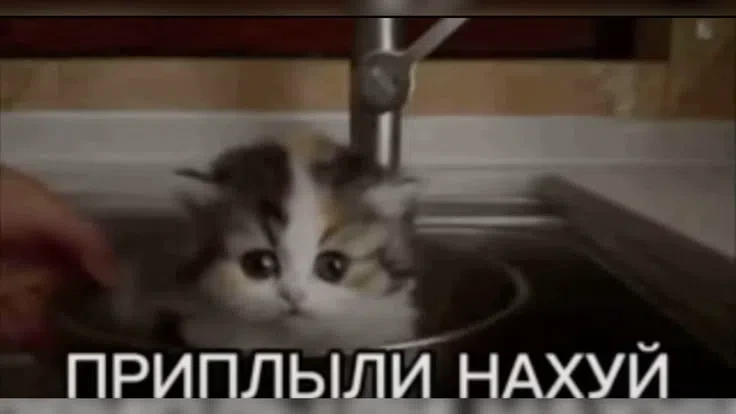 7⃣:1⃣ Малов хет-трик