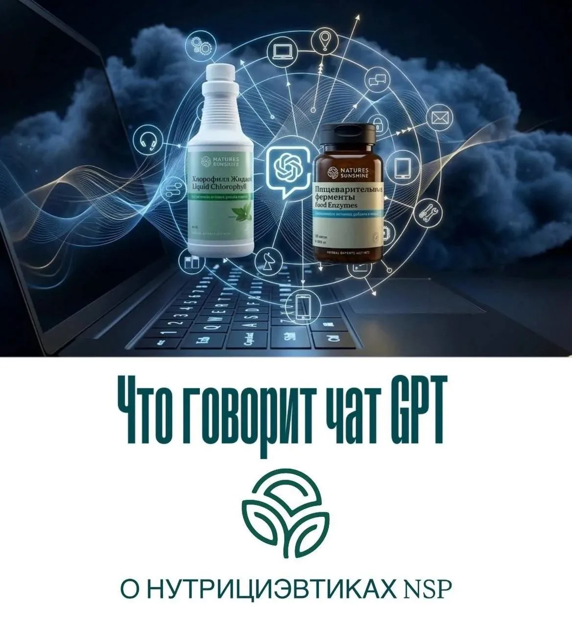 Почему NSP — это не просто «еще одна БАД-компания»: