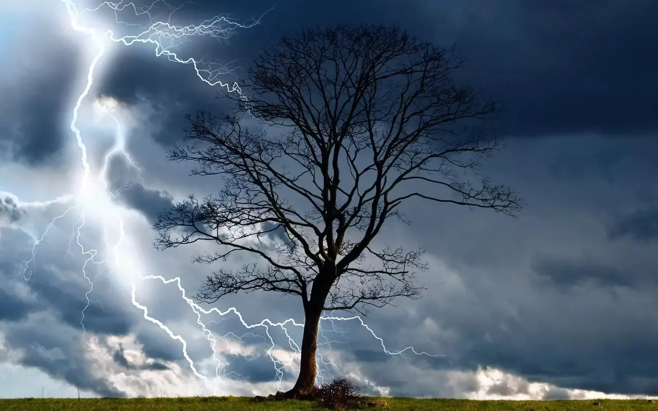 ⛈В Воронежской области на 12 часов объявлен желтый уровень погодной опасности из-за гро...