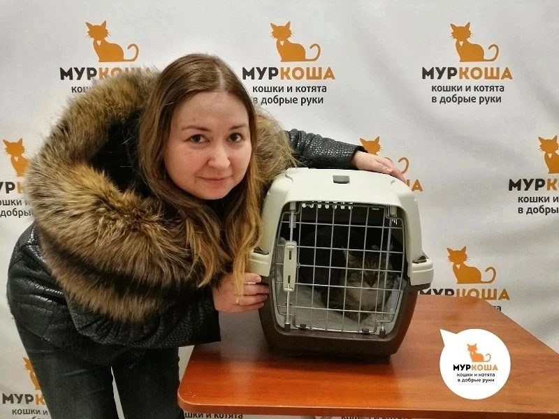 Сегодня команда приюта желает здоровья, бодрости духа, покоя на сердце и счастья на душ...