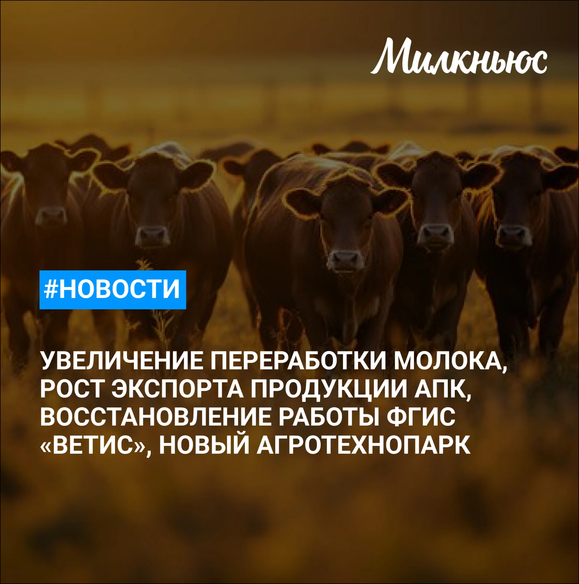 🐮 «Логика молока» в январе-сентябре нарастила выручку на 5,3%